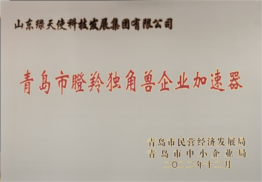 青島市瞪羚獨(dú)角獸加速器