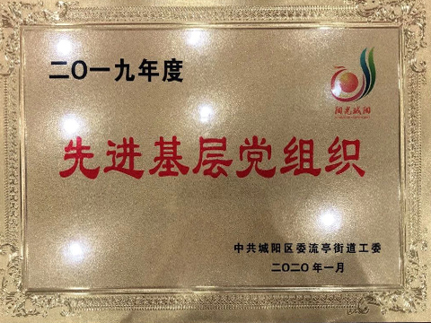 2019年度先進(jìn)基層黨組織
